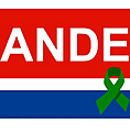 Administracin Nacional de Electricidad (ANDE)